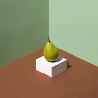 Product Sample