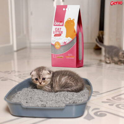 Genie™ Premium Baby Powder Cat Litter Ultra Fast 6-Second Clumping, 100% Dust-Free, Strong Odor Control with OwnVet Technology, Natural Bentonite Clay, Low Tracking, Multi-Cat Friendly, Long-Lasting Freshness, 5.1kg (6.3L)
