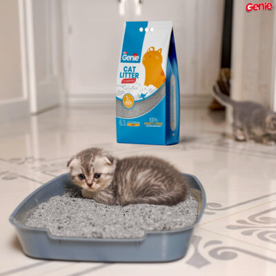 Genie™ Premium Soap-Scented Cat Litter Ultra Fast 6-Second Clumping, 100% Dust-Free, Low Tracking, Strong Odor Control, Natural Bentonite Clay, Multi-Cat Friendly, Long-Lasting Freshness, 5.1kg (6.3L)
