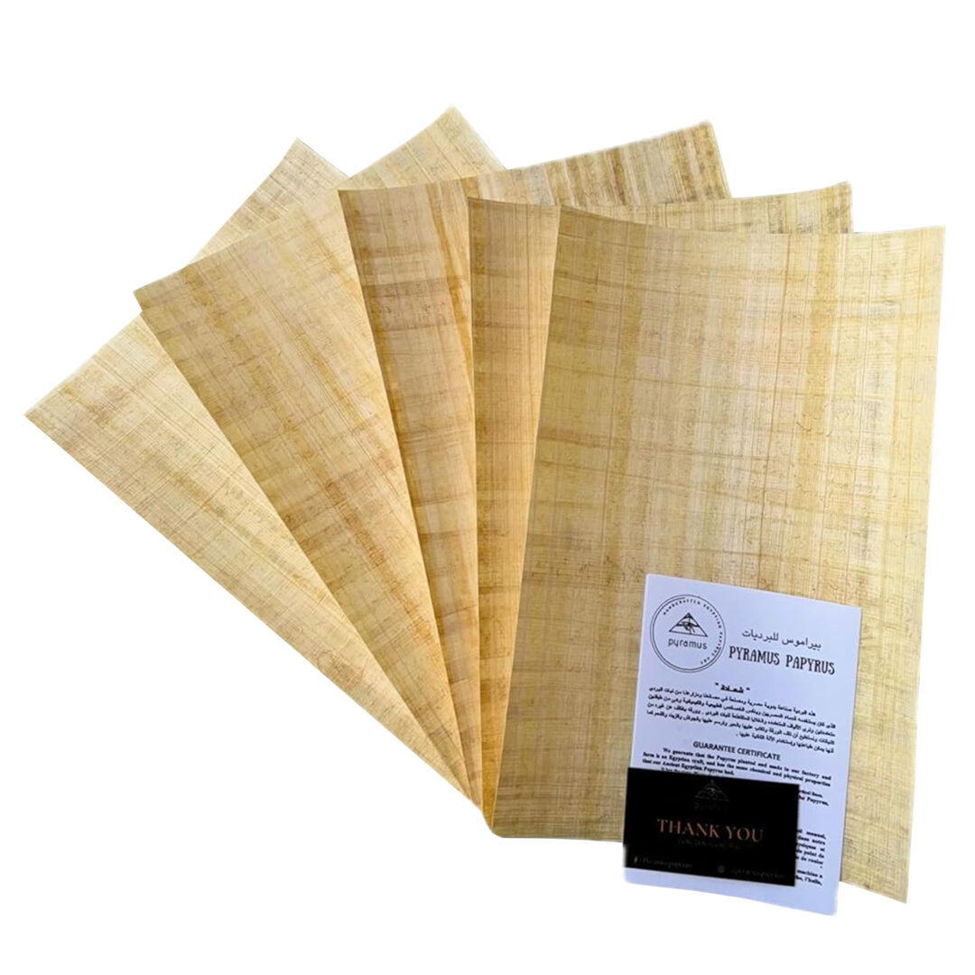 1 – 2025-09-18T164914.283